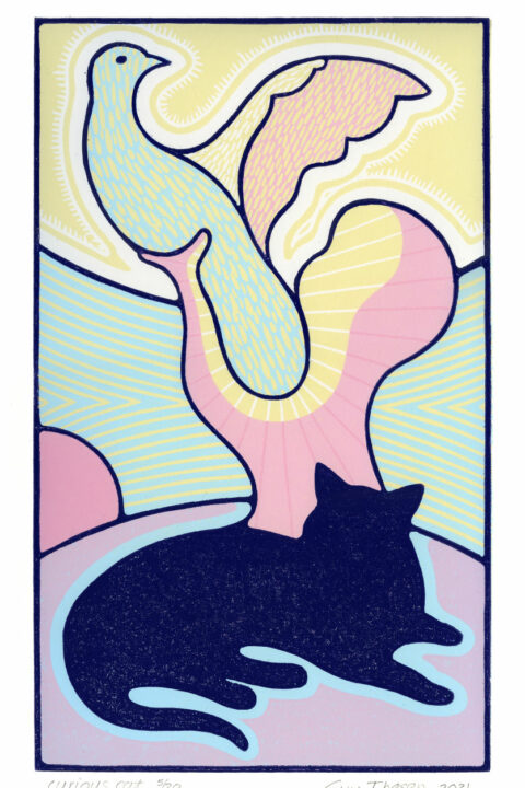 Curious cat